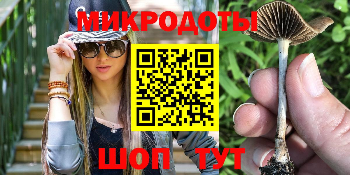 Нерюнгри  Галлюциногенные грибы Cubensis  Псилоцибиновые грибы Cubensis  Вход с VPN 